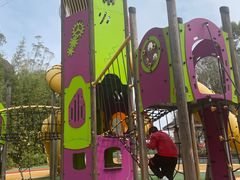 -厦门艾美酒店·新食谱西餐厅