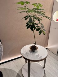 -丽都整形美容医院·全国连锁旗舰店
