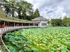 -荔湾湖公园