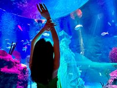 -沈阳海洋探索中心