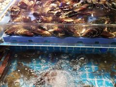 -四囍码头海鲜烧烤自助火锅(外滩南京东路悦荟广场店)