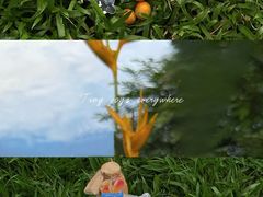 -晓港公园