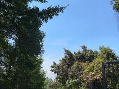 -成都老君山