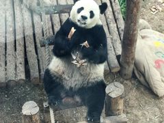 -大连森林动物园