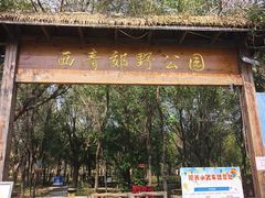 -西青郊野公园