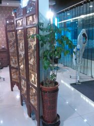 WP_20130420_006-DRG达人馆造型