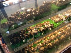 -蟹臻鲜阳澄湖大闸蟹(889广场店)