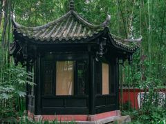 -望江楼公园
