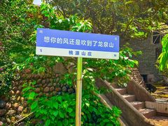 -桃源山庄·水蜜桃采摘·柴火鸡·烧烤团建(龙泉山店)