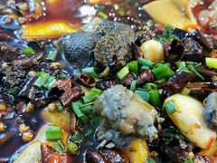 -黑竹香鸡(营和巷店)