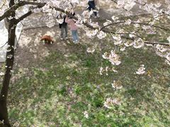 -苏州上方山国家森林公园
