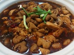 -川大刘肥肠鸡(北国店)