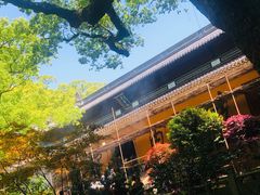 -普陀山风景名胜区-法雨禅寺