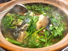 -九道菜有鸡鱼头(石鼓路店)