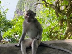 -Kecak Dance