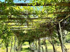 -宁波浙东大竹海景区