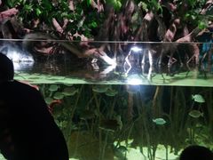 -福州罗源湾海洋世界旅游区