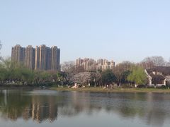 -堤角公园