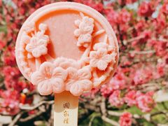 -国家植物园