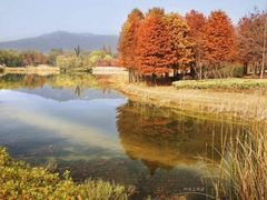 -南京东郊国宾馆