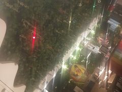 -寂寞的豆芽(龙泽路店)