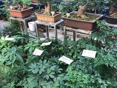 -秦美花卉(天朗·莱茵小城2期店)