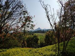 -浙江安吉JW万豪酒店·万豪中餐厅