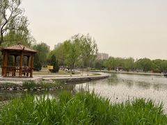 -太阳宫公园