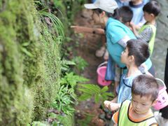 -大余丫山旅游度假区