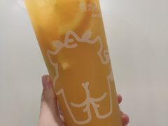 橙橙柠檬-茶力的小怪兽(梅林卓悦汇店)