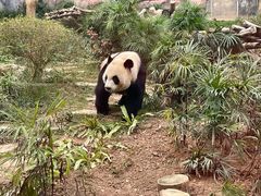 -石排湾郊野公园
