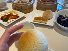 雪顶雄峰-利苑酒家(金宝店)
