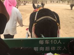 -黄沙古渡原生态旅游区