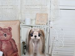 -中粮·祥云小镇