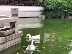 -祝家花園(伯渎港店)
