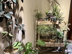-IFIF 如果花園(宽厚里店)