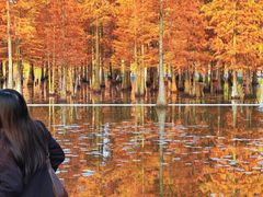 -白鹭湾湿地公园