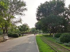 -永定河休闲森林公园