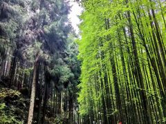 -山王坪喀斯特国家生态公园