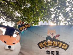 -柴犬高等学院·狗咖·柴犬售卖·宠物训练