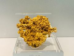 -中国地质博物馆