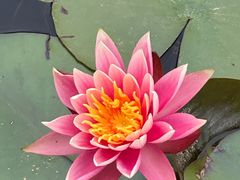 -东莞植物园