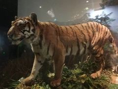 -陕西自然博物馆