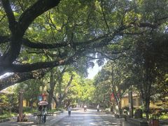 -东西巷