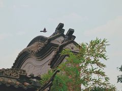-龙潭水乡