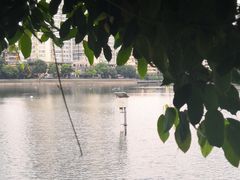 -西北湖绿化广场