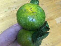 -九佰陆拾度土豆粉砂锅(普陀店)