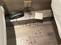 -柏曼酒店(广州长隆旅游度假区汉溪长隆地铁站店)