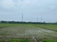 -广富林郊野公园