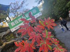 -本溪汤沟绿石谷森林公园